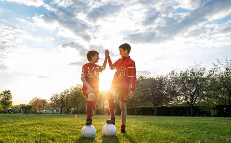 南宫ng28官网入口最新版本如流精彩足球运动员现场表演节目，体育娱乐精彩无限