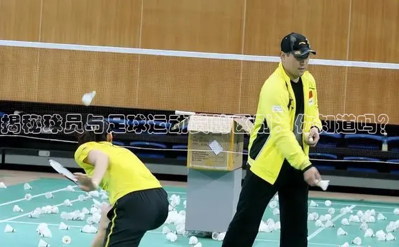 南宫NG28注册平台入口路畅科技揭秘球员与足球运动员的区别：你知道吗？