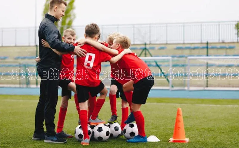 ng28游戏官网平台每日互动足球场上的体操：探索足球场上的运动多样性