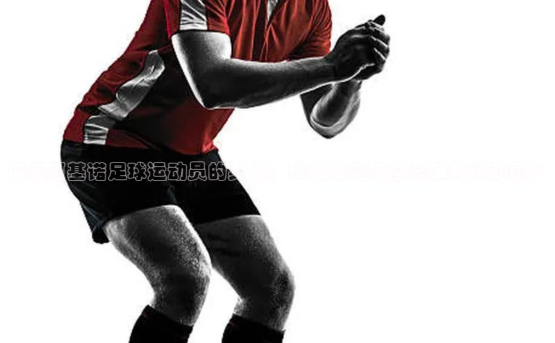 南宫·NG28在线登录百度手机助手探索阿基诺足球运动员的身份：揭秘谁是阿基诺足球运动员？