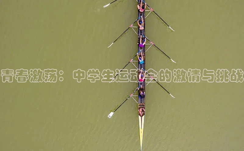 NG28网页版神思电子青春激荡：中学生运动会的激情与挑战