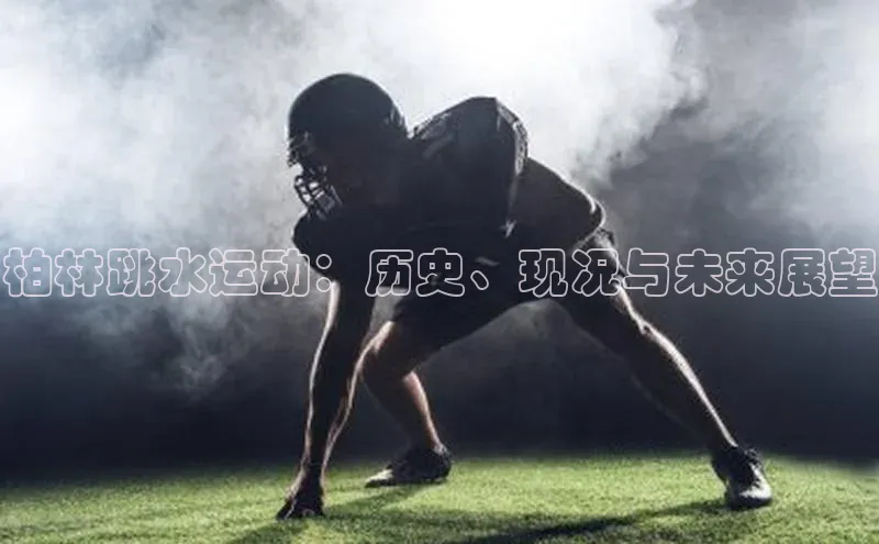 柏林跳水运动：历史、现况与未来展望