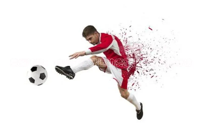 荣耀追踪：2023年世界运动赛事冠军奖金排行榜