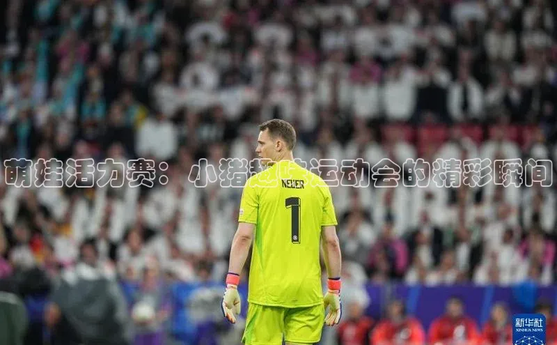 萌娃活力赛：小猪趣味运动会的精彩瞬间