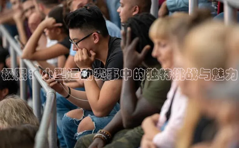 极限：小型运动赛事中的独特挑战与魅力