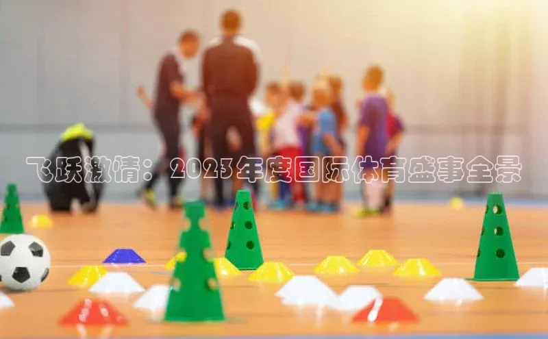 飞跃激情：2023年度国际体育盛事全景