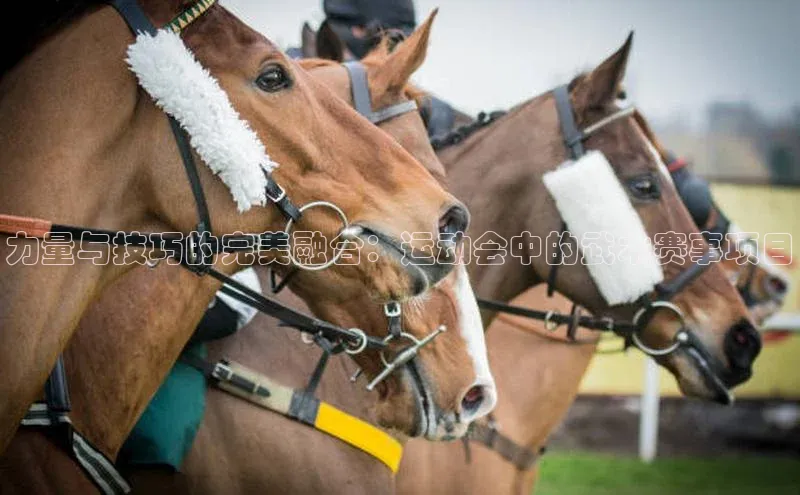 力量与技巧的完美融合：运动会中的武术赛事项目