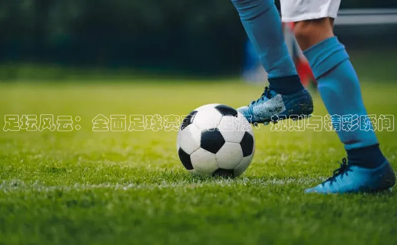 ng娱乐电子游戏官网