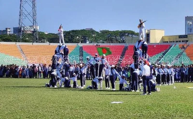 ng南宫国际app入口注册