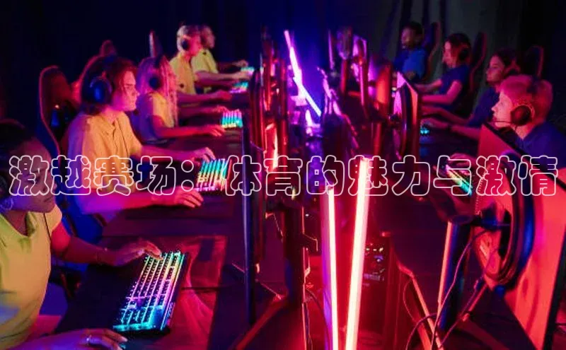 激越赛场：体育的魅力与激情