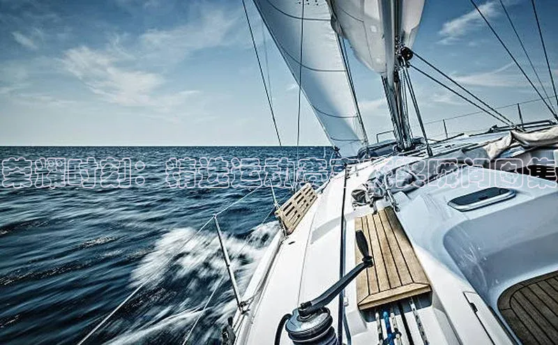 荣耀时刻：精选运动赛事获奖瞬间图集