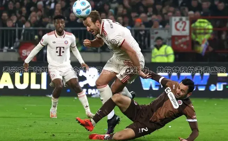 ng娱乐电子游戏官网